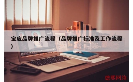 宝应品牌推广流程（品牌推广标准及工作流程）