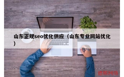 山东正规seo优化供应（山东专业网站优化）