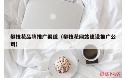 攀枝花品牌推广渠道（攀枝花网站建设推广公司）